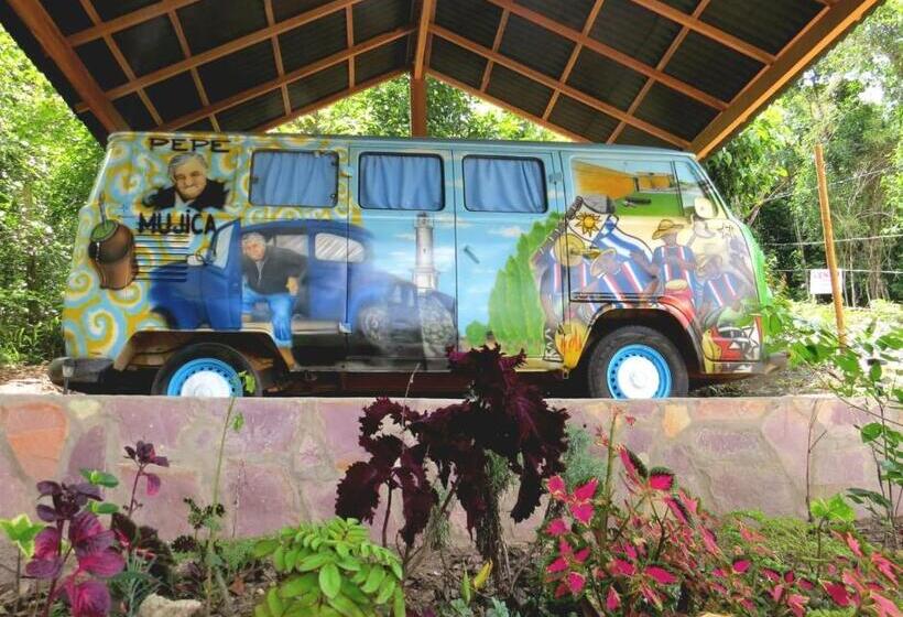 经济房, Kombi Hostel Camping