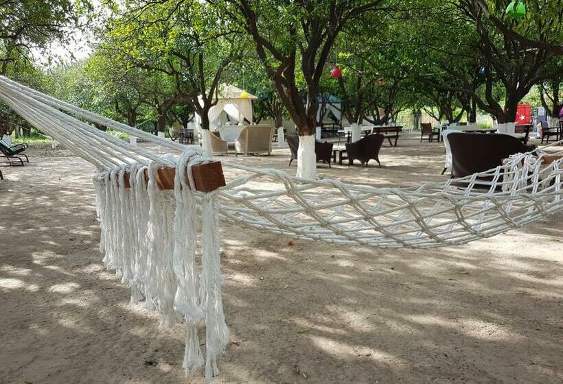 آپارتمان 1 خوابه, Agva Apart Otel