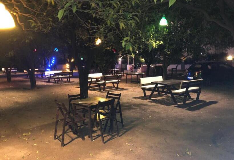 آپارتمان 1 خوابه, Agva Apart Otel
