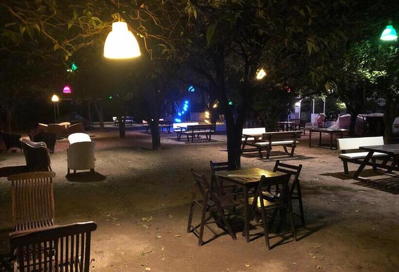 آپارتمان 1 خوابه, Agva Apart Otel
