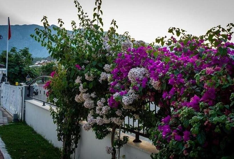 اتاق خانوادگی, Agva Apart Otel