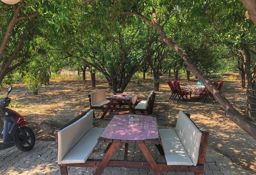آپارتمان 1 خوابه, Agva Apart Otel