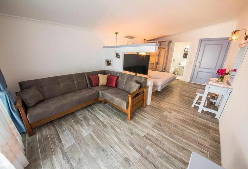 استودیوی استاندارد با چشم‌انداز دریا, Ceylan Boutique House