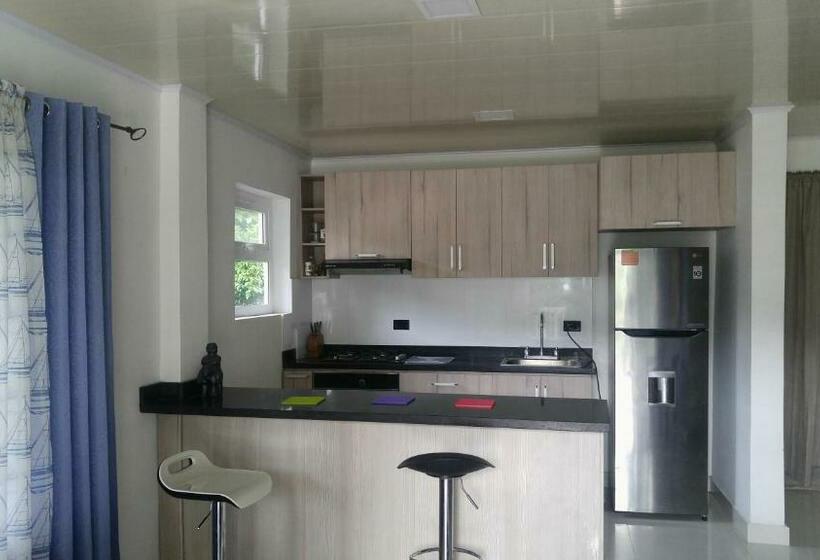 اتاق لوکس با تخت بزرگ, Orange House Downtown