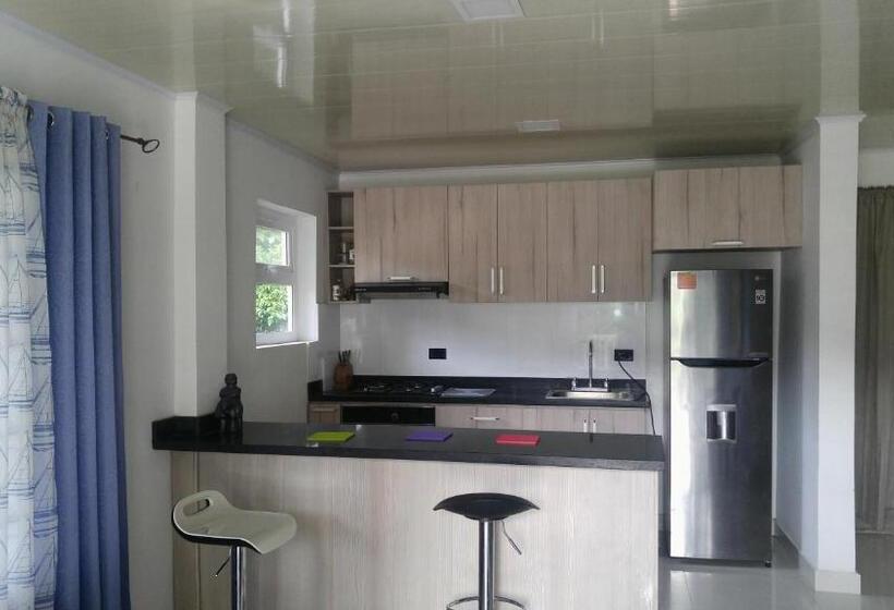 اتاق استاندارد چهار تخته, Orange House Downtown
