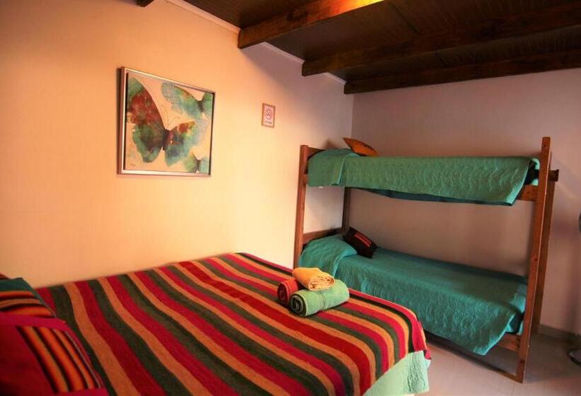 اتاق استاندارد, Anka Hostel