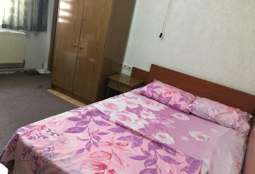 اتاق اکونومی, Bujtina  Oltas