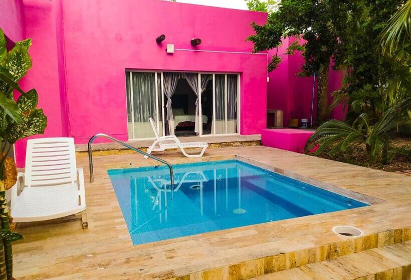 اتاق استاندارد با سرویس بهداشتی مشترک, Casa Isabella