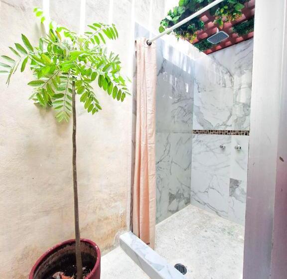 سوئیت با تخت بزرگ, Casa Isabella