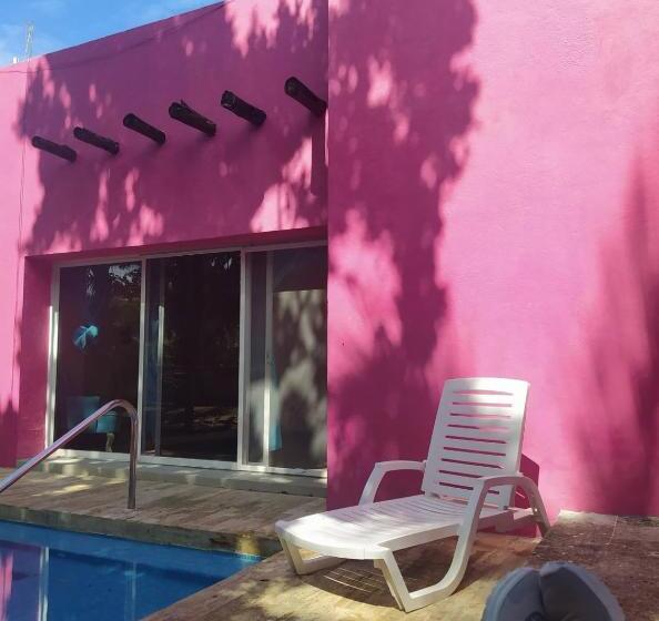 سوئیت با تخت بزرگ, Casa Isabella