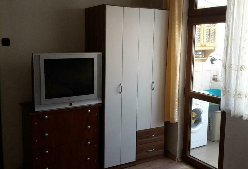 Apartamento 1 Dormitorio, Dom Lidiya