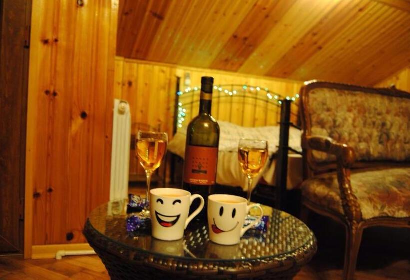 اتاق لوکس با بالکن, House In Borjomi