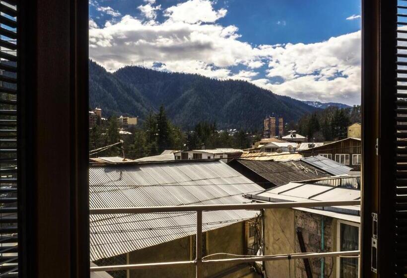 اتاق لوکس با بالکن, House In Borjomi