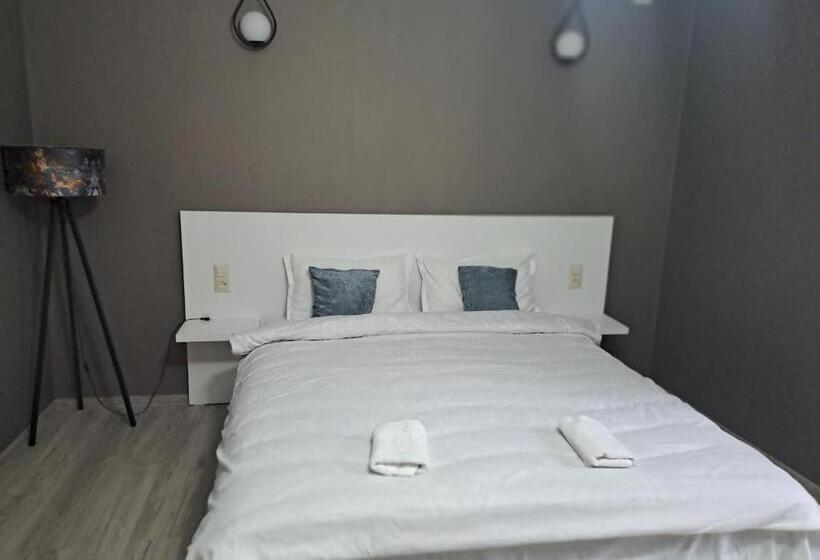 اتاق استاندارد با تخت بزرگ, Ira & Vaso S Guest House Borjomipark
