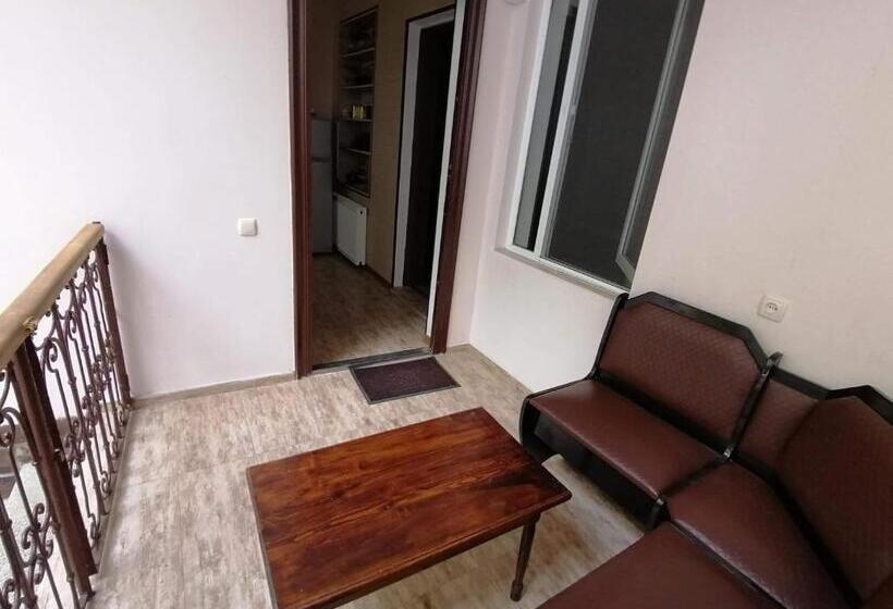 اتاق لوکس سه تخته, Ira & Vaso S Guest House Borjomipark
