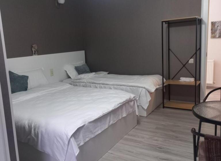 اتاق خانوادگی, Ira & Vaso S Guest House Borjomipark