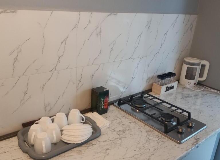 اتاق خانوادگی, Ira & Vaso S Guest House Borjomipark