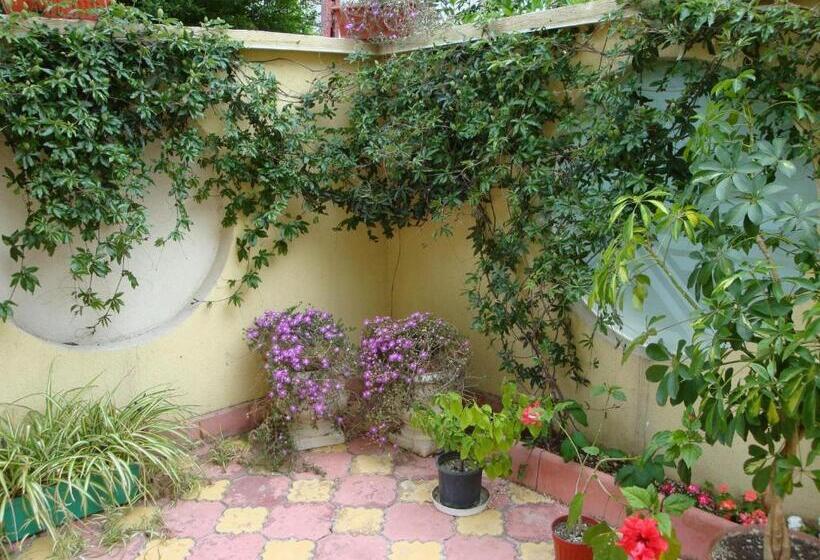 اتاق استاندارد سه تخته با بالکن, Stela Guest House