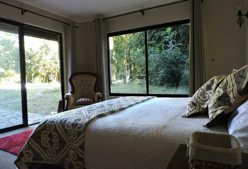 سوییت, Casa De Noah Bed & Breakfast