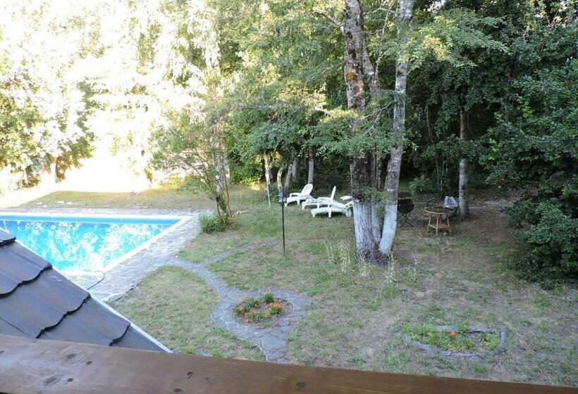 اتاق استاندارد با سرویس بهداشتی مشترک, Casa De Noah Bed & Breakfast