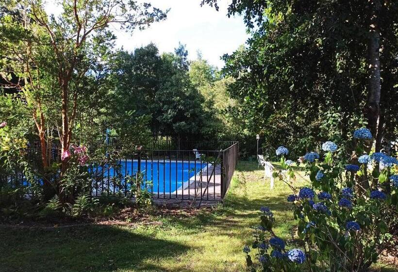 بانگلوی استاندارد, Casa De Noah Bed & Breakfast