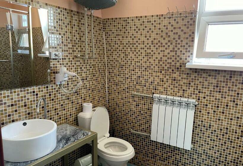 اتاق استاندارد, Eco House