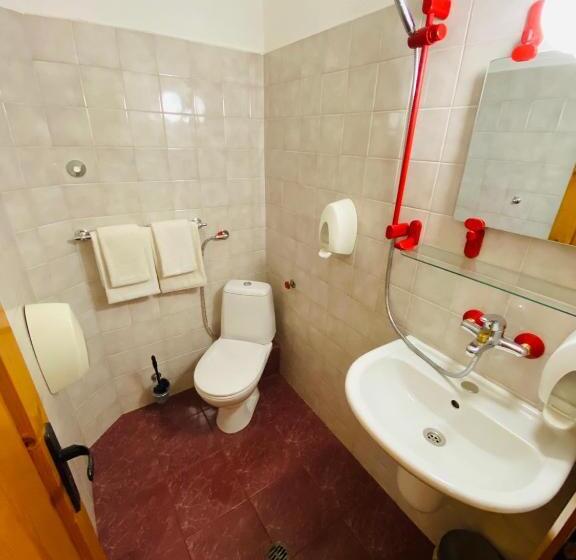 اتاق استاندارد با بالکن, Family Hotel Savov