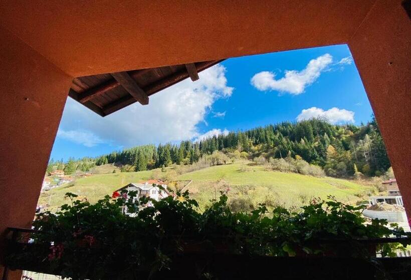 اتاق استاندارد با بالکن, Family Hotel Savov
