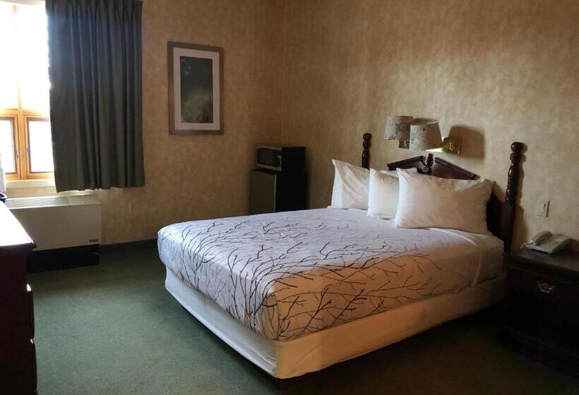 اتاق سوپریور برای معلولان, Pilgrim Inn