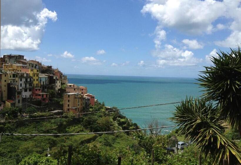 استودیوی استاندارد با چشم‌انداز دریا, Sole Terra Mare