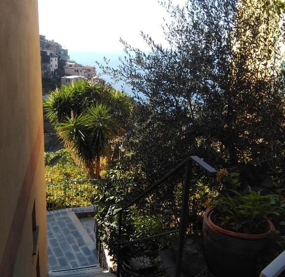 استودیوی استاندارد با چشم‌انداز دریا, Sole Terra Mare