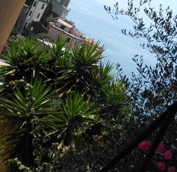 استودیوی استاندارد با چشم‌انداز دریا, Sole Terra Mare