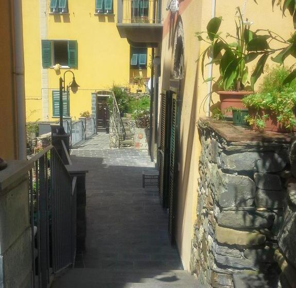 استودیوی استاندارد با چشم‌انداز دریا, Sole Terra Mare