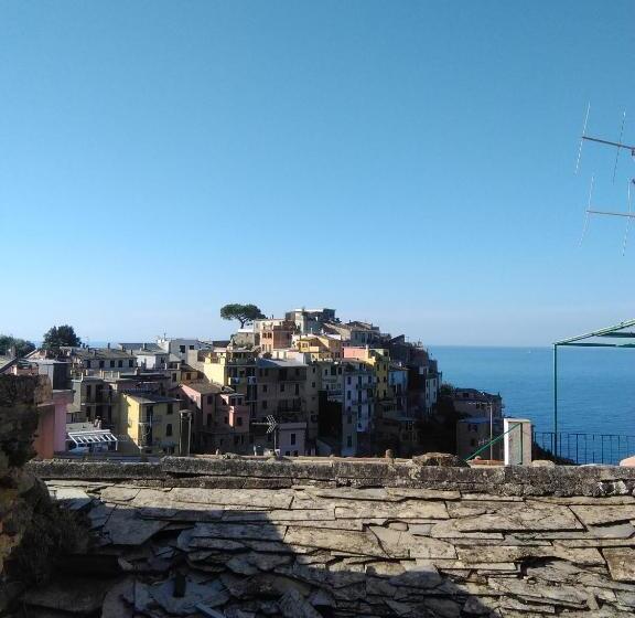 استودیو استاندارد با چشم‌انداز باغ, Sole Terra Mare