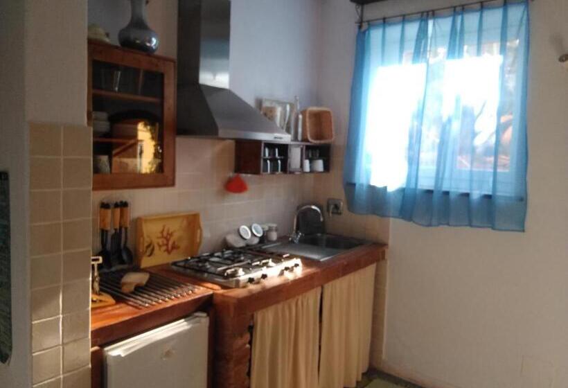 استودیو استاندارد با چشم‌انداز باغ, Sole Terra Mare