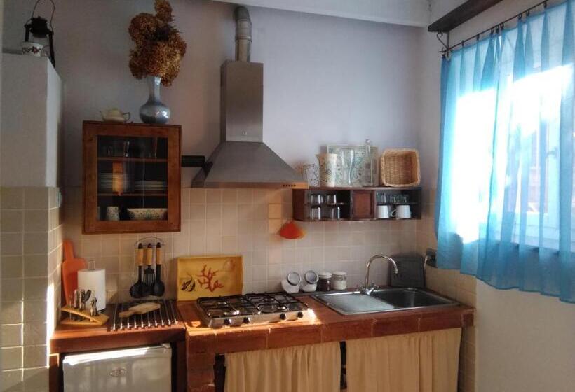 استودیو استاندارد با چشم‌انداز باغ, Sole Terra Mare