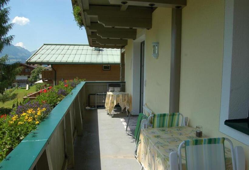 آپارتمان 1 خوابه, Haus Lechner Apartments