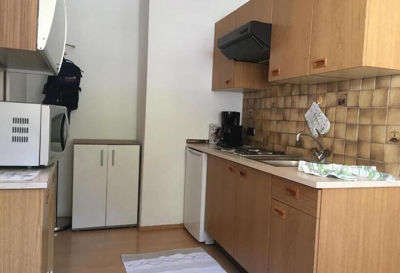 استودیو استاندارد با بالکن, Haus Lechner Apartments