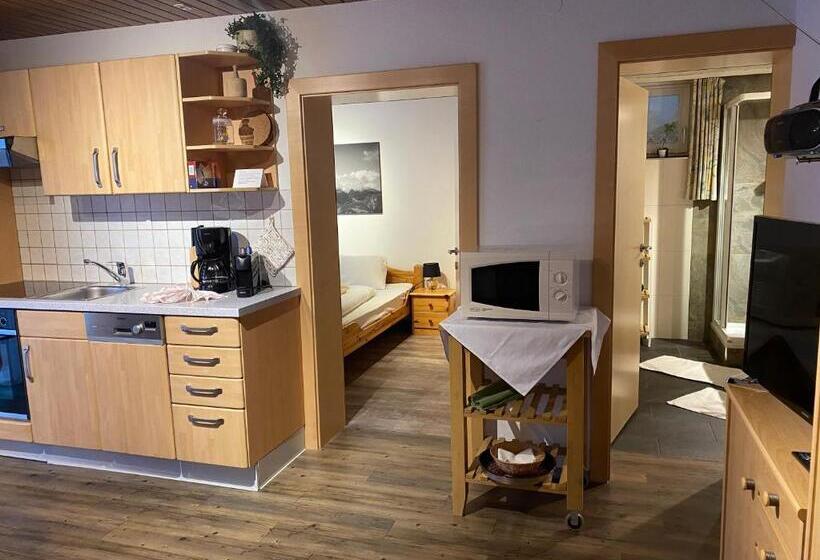 آپارتمان 1 خوابه با تراس, Haus Lechner Apartments