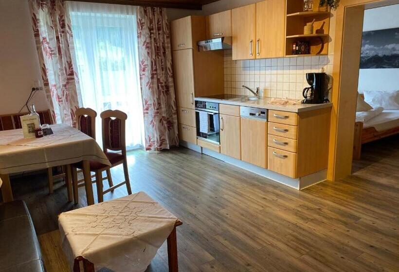 آپارتمان 1 خوابه با تراس, Haus Lechner Apartments