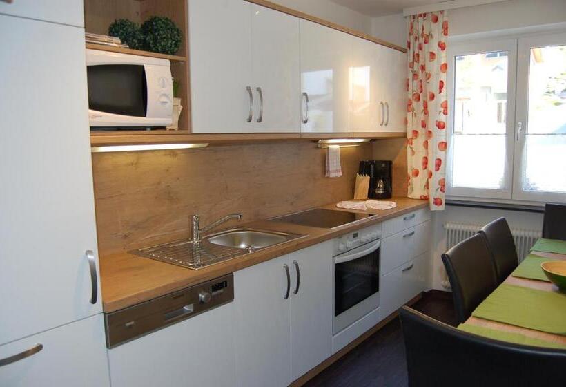 آپارتمان 1 خوابه همکف, Haus Lechner Apartments