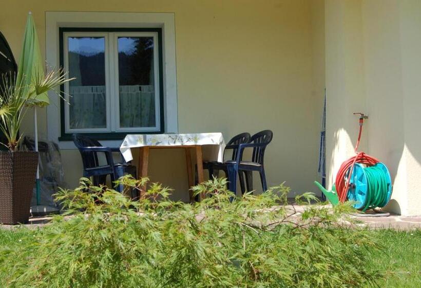 آپارتمان 1 خوابه با تراس, Haus Lechner Apartments