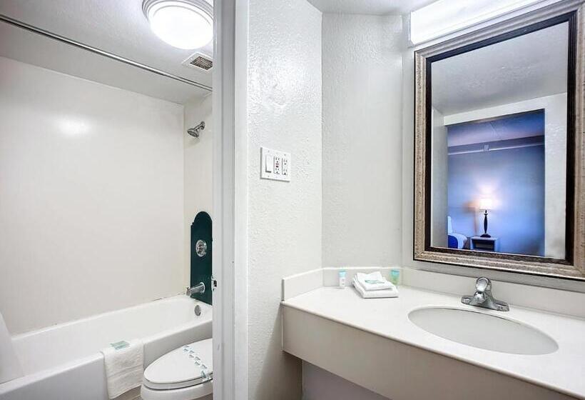 اتاق استاندارد با تخت بزرگ, Stayable Jacksonville North