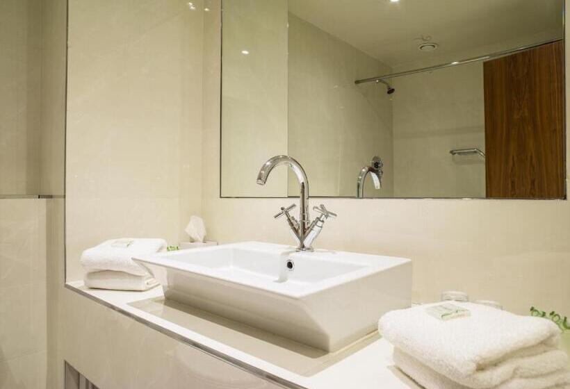 اتاق استاندارد, Ballyroe Heights