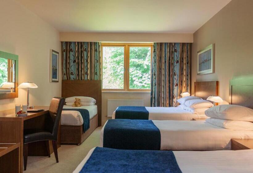 اتاق استاندارد سه نفره, Ballyroe Heights