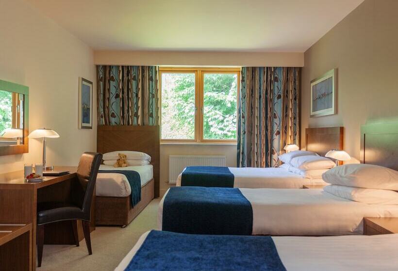 اتاق استاندارد سه نفره, Ballyroe Heights