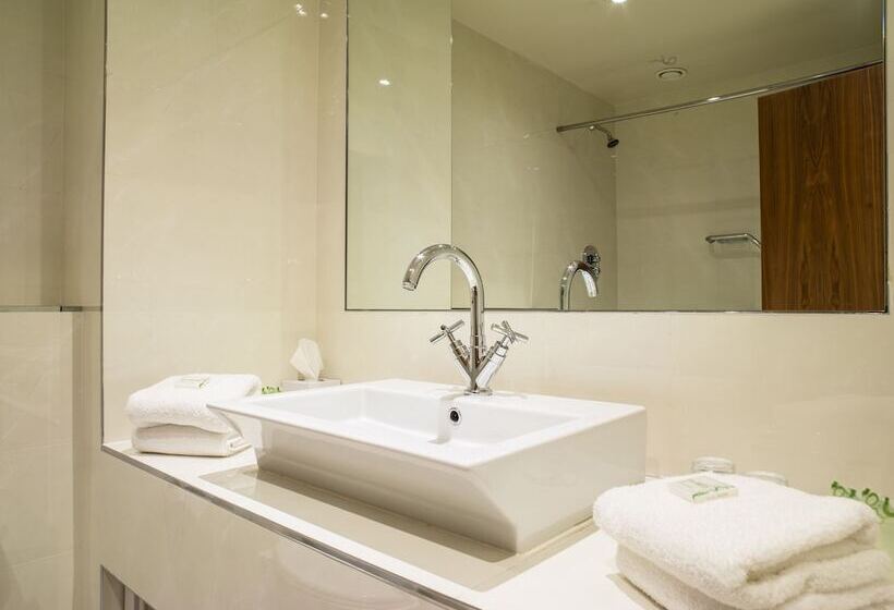 اتاق لوکس با بالکن, Ballyroe Heights