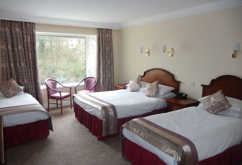 اتاق استاندارد سه نفره, Central Hotel Donegal