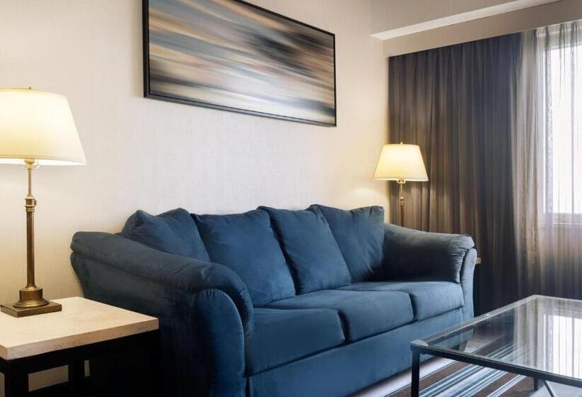 سوئیت با تخت بزرگ, Courtyard By Marriott New York Jfk Airport