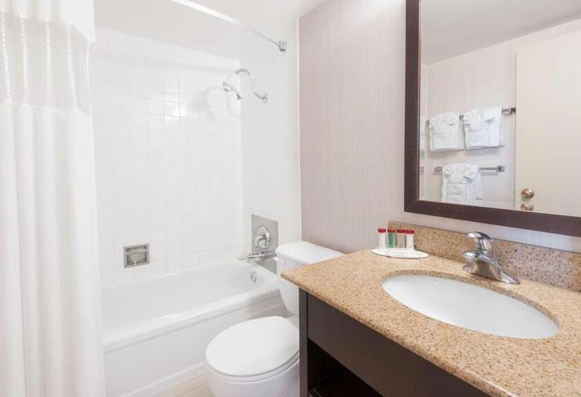 اتاق استاندارد با تخت بزرگ, Edmonton Inn And Conference Centre